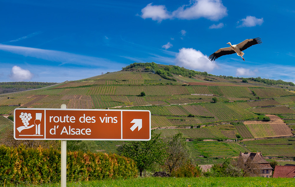 La Route des Vins en Alsace